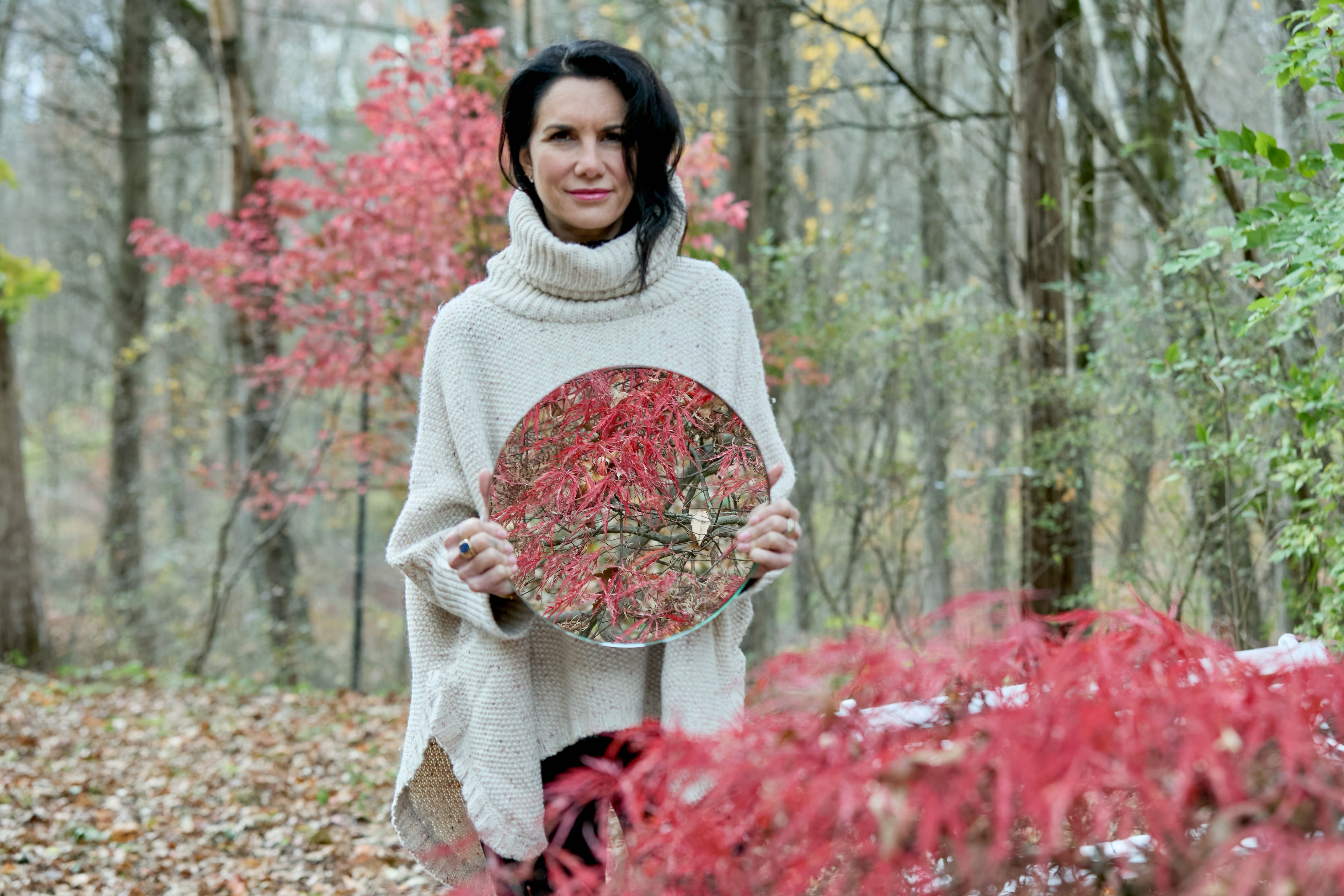 Plant Medicine Exploration + Guidance